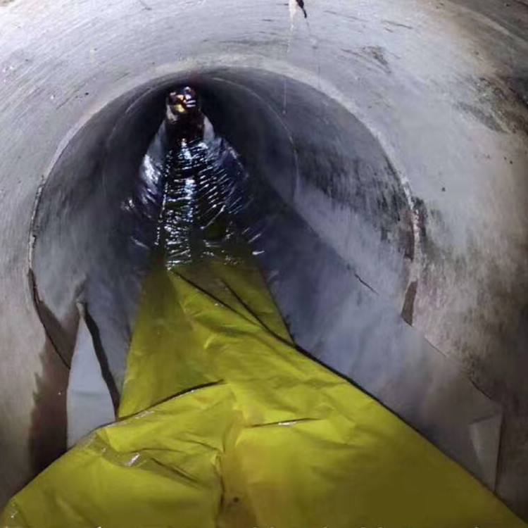 禄丰管道光固化修复